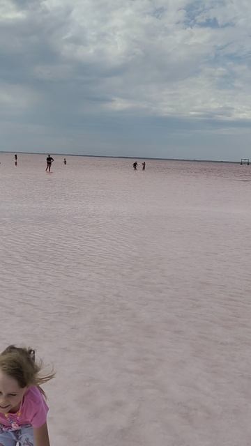 Розовое озеро. Яровое.