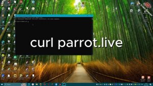 как сделать попугая в cmd