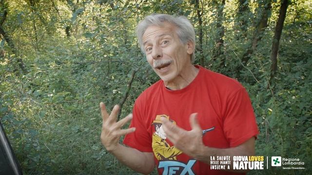 Popillia japonica: indicazioni del Servizio Fitosanitario - con Giovanni Storti смотреть онлайн