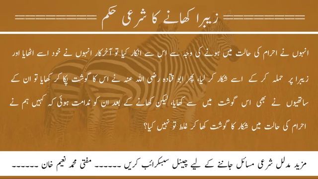 Zebra Halal Or Haram?|Did Prophet Muhammad Eat Zebra Meat?|Zebra Khana Kesa Hai