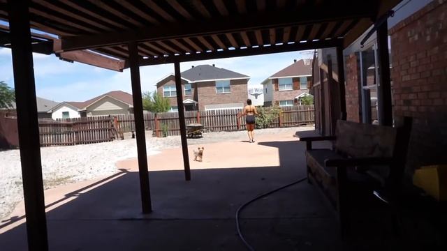 THE EXERCISES YOU NEED TO ADD TO YOUR GLUTE WORKOUT смотреть онлайн