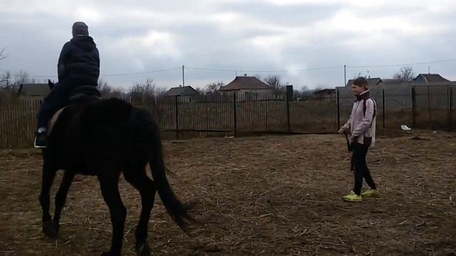 ЗАНИМАЕМСЯ НА КОРДЕ. смотреть онлайн