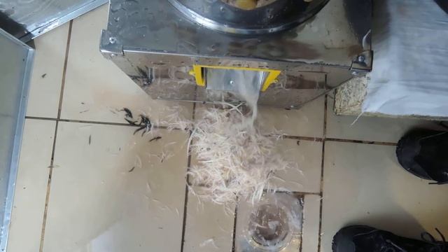 Как ощипать перепелку за 1 минуту ? Перосьемная машина. смотреть онлайн