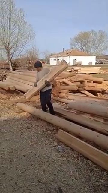 Наш старший бобер / / Сруб дома, бани от ZERENDI BALTALARY / Принимаем заказы! смотреть онлайн