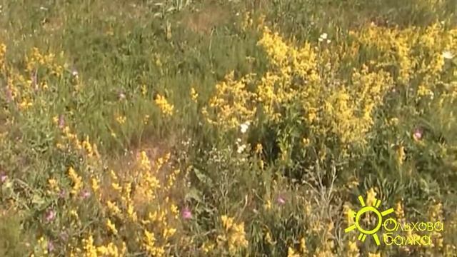 Парк Ольхова балка августовские пейзажи. смотреть онлайн