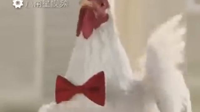 Поют смотреть онлайн