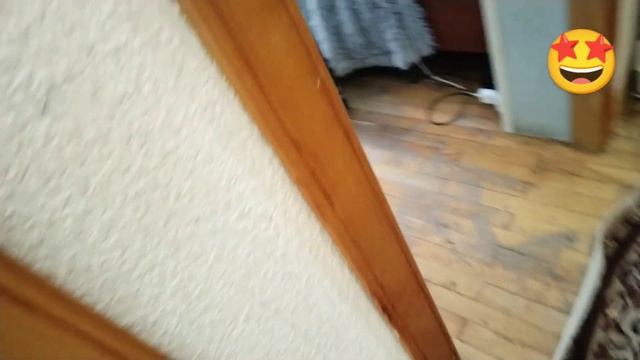 Извините за плохое качество🤏😂 смотреть онлайн