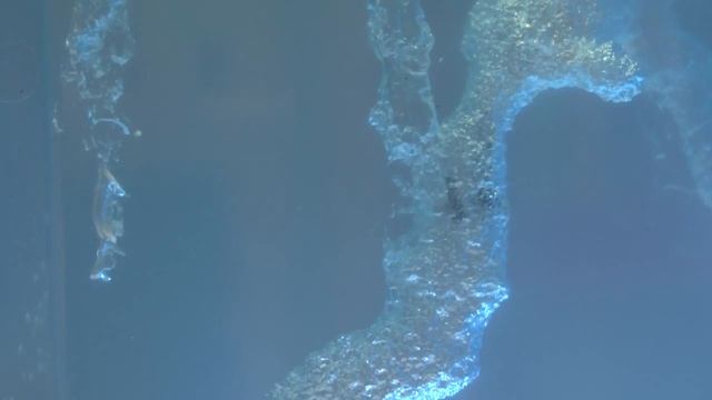 муравьиная ферма смотреть онлайн