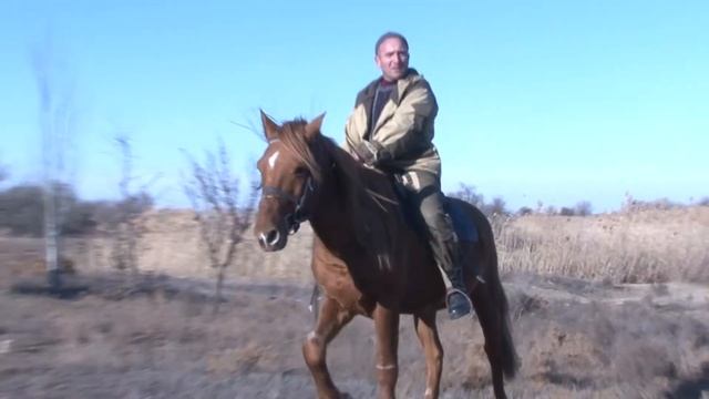 Все мы немного лошади.... смотреть онлайн