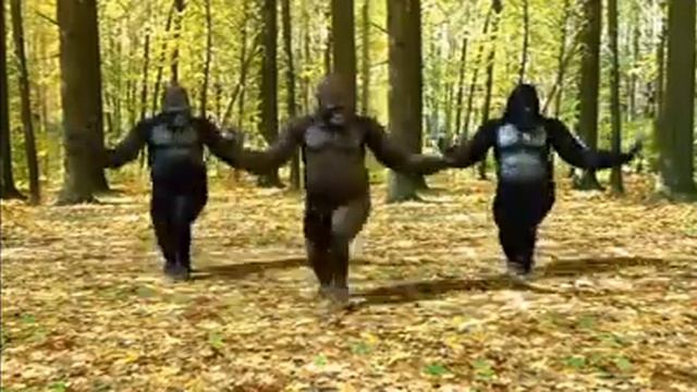 Танцующие обезьяны смотреть онлайн