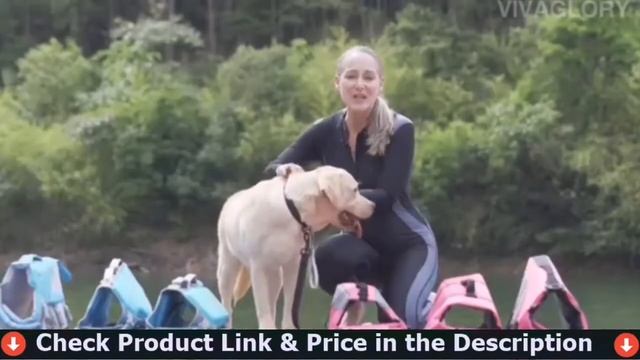 Best Dog Life Jacket 2022 🔶 Top 5 Life Jacket for Dogs Review смотреть онлайн