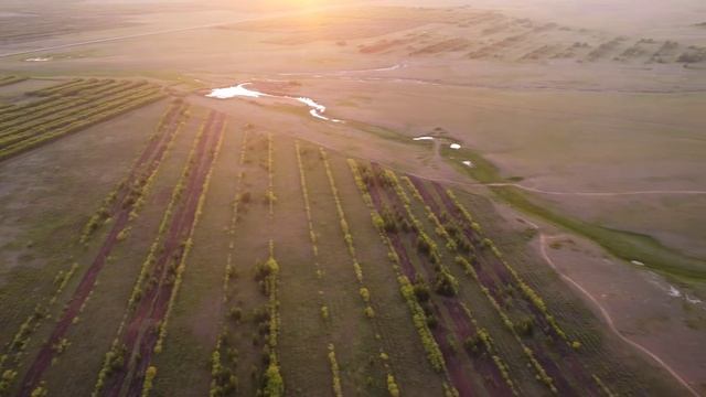 Полет на закате смотреть онлайн