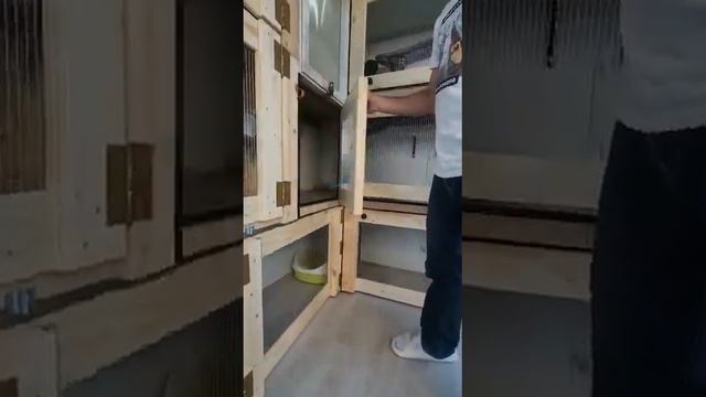 клетка для шиншилл и кроликов смотреть онлайн