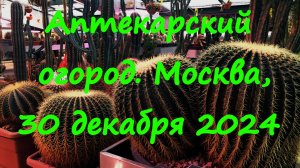 Аптекарский огород. Москва, 30 декабря 2024.