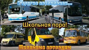 ШКОЛЬНАЯ ПОРА ! Школьные автобусы"ПАЗ-32053" "ГАЗель Next" "Peugeot boxer"(школьные) и другие машины