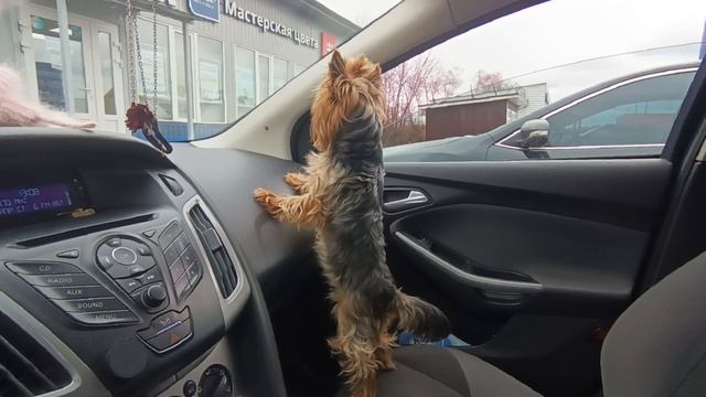 на стороже!