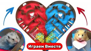 СОРВЕНОВАНИЯ ДВУХ ХОМЯКОВ ! Кто выберется первым ? 🐹 Видео для детей