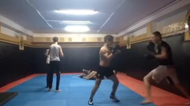 Гасанов Тофиг ( мма-работа на лапах) смотреть онлайн