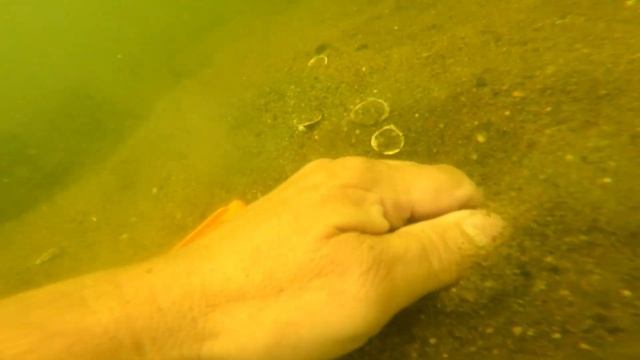 Beach metal detecting underwater with the Nokta simplex ultra with the blu3 nemo | Monday digs смотреть онлайн