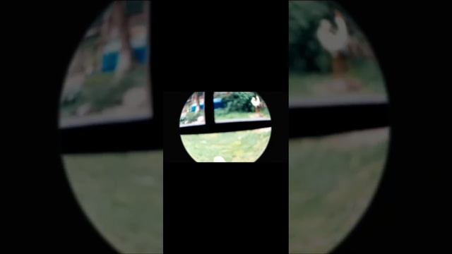 Гриша в бегах 2. 2 серия. #животные #проишествия #Ok k film #Гриша в бегах смотреть онлайн