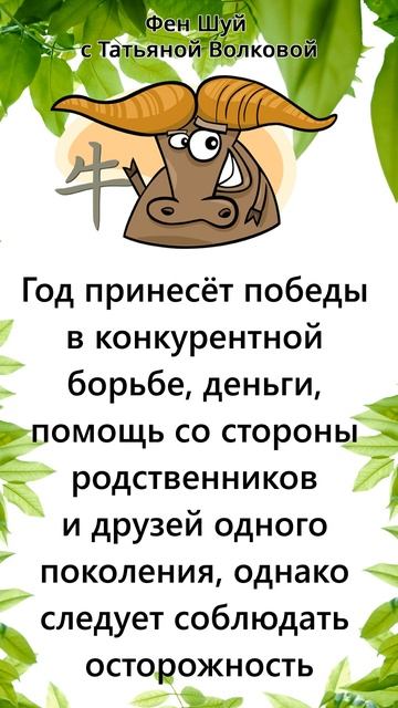 ГОРОСКОП |Узнайте, что Ждет Людей, Рожденных в Годы БЫКА в 2024 году по Фен Шуй! #Shorts смотреть онлайн