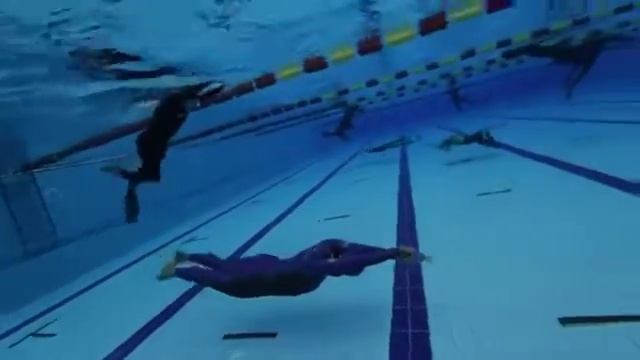 الرقم القياسي العالمي ناتاليا Molchanova من DNF Freediving