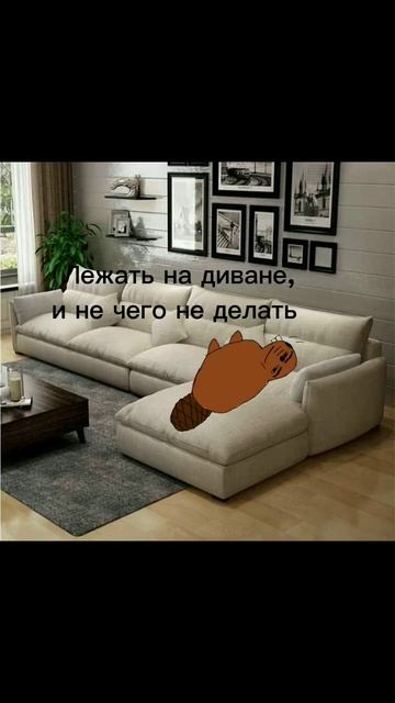 некого не хотел оскорбить этим видео:) #врек #врекомендации #залетит #бобр #бобры #бобрик смотреть онлайн