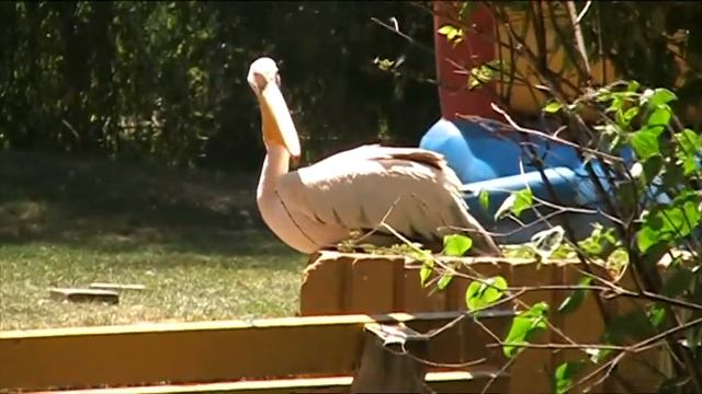 Хмельницкий, июнь 2011 смотреть онлайн