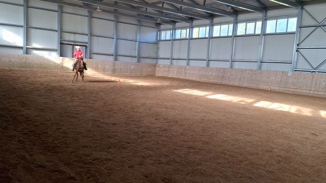 74 IVOLGA & VLADIMIR NEKRASOV. Horsemanship(шаг-рысь-галоп). смотреть онлайн