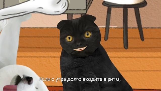 Страстное штанго | Кот Бублик смотреть онлайн