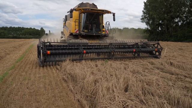 MacDon FD125   Stéphane Gaudillier Testimonial