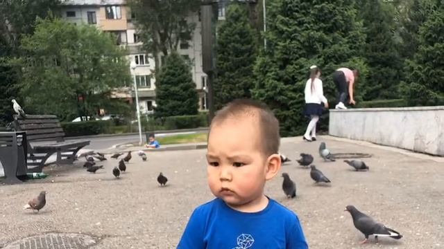 Бокеша сторис смотреть онлайн