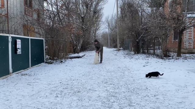 Мареммо-абруццкая овчарка - Отработка команды ко мне / 7-й день занятий смотреть онлайн