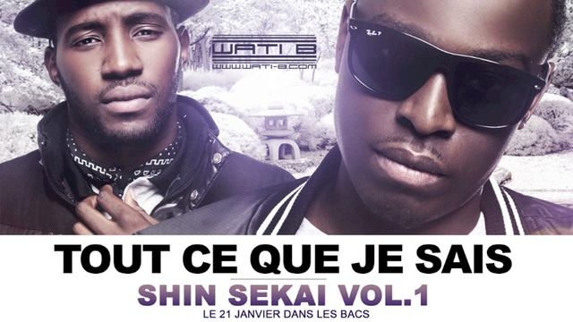 The Shin Sekai - Tout ce que je sais (Son Officiel) смотреть онлайн
