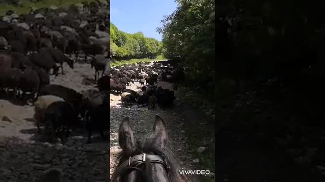 16 декабря 2021 г. смотреть онлайн