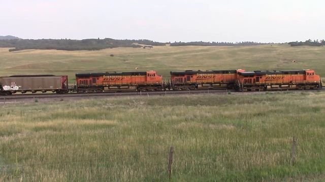 BNSF coal train going up the grade toward Palmer lake CO 8/16/21 смотреть онлайн