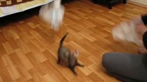 ХОРЁК играет