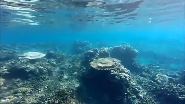 Snorkeling à Bali - Lipah Beach