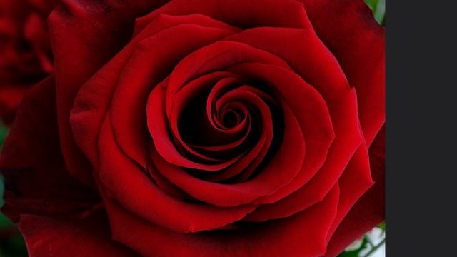 Музыка и природа славит Творца сборник 1. смотреть онлайн