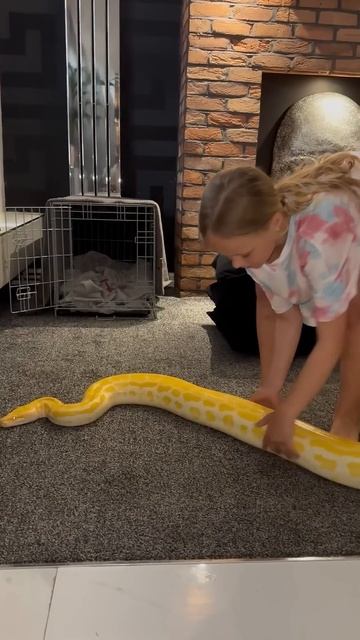 This Girl is Completely Crazy 🐍 смотреть онлайн