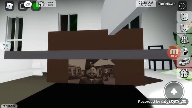 nova foto secreta no velório do brooknhaven (mari blox gamers) смотреть онлайн