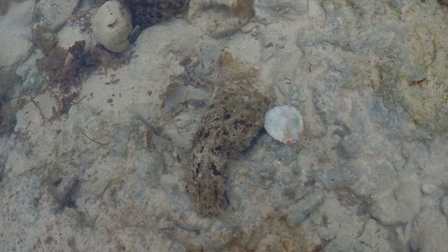 2017 0310 022516 141 смотреть онлайн