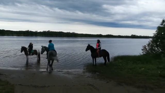 Заостровье, лошади смотреть онлайн