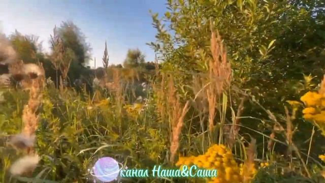 Сергей Орлов..Голуби смотреть онлайн