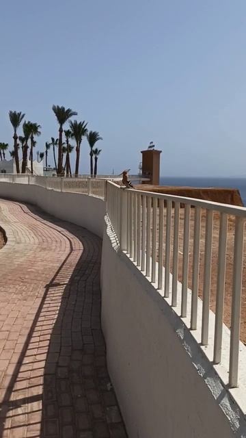 Какие звуки издает удод смотреть онлайн