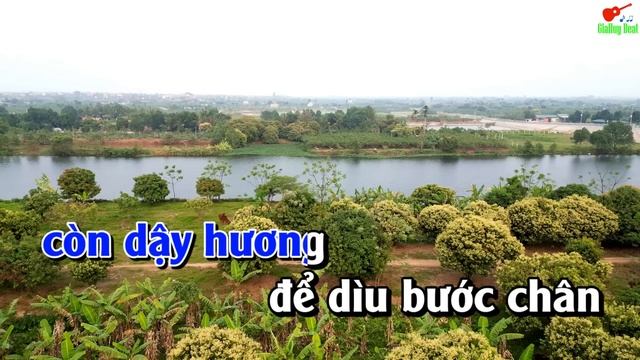 Xóm Đêm Karaoke Tone Nam Nhạc Sống gia huy beat смотреть онлайн