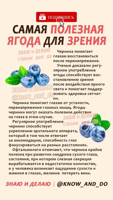 🔥 Самая полезная ягода для зрения 🫐 Полезные пп советы от Андрея Лопеса #знаюиделаю #здоровье смотреть онлайн