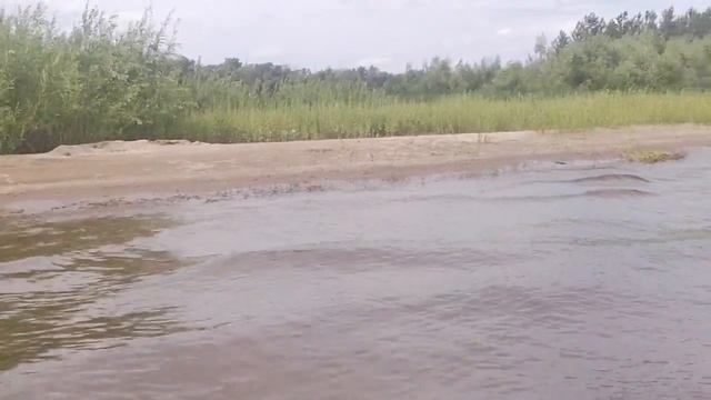 Моё первое путешествие на SUP Board. Доплыл до Косухи смотреть онлайн