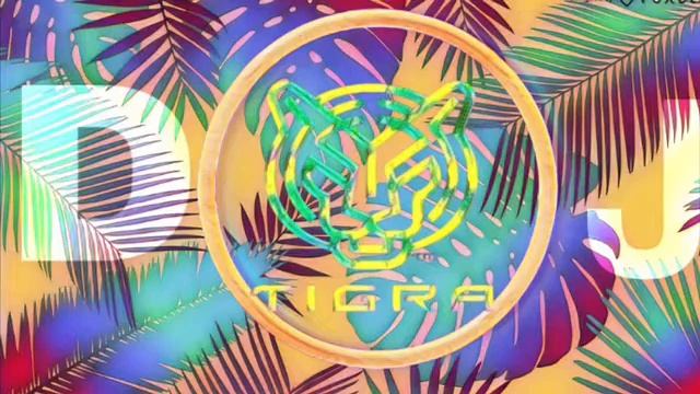 Dj Tigra- Lights out смотреть онлайн