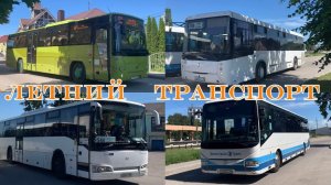 Летний транспорт города Пионерский. Жизнь остановочного пункта и города. Июнь 2024